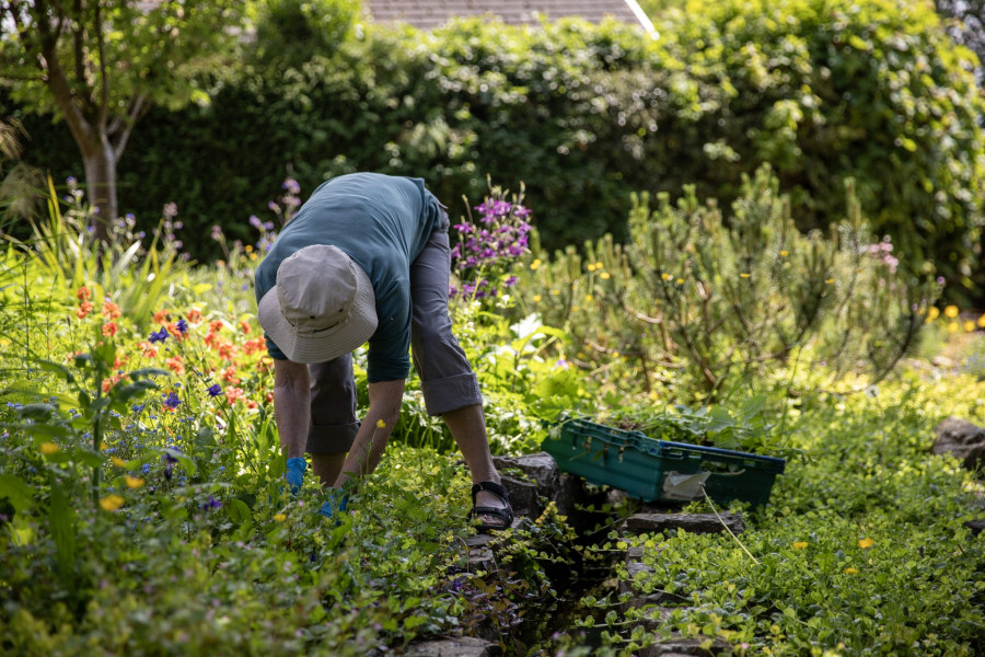 Volunteer Gardener